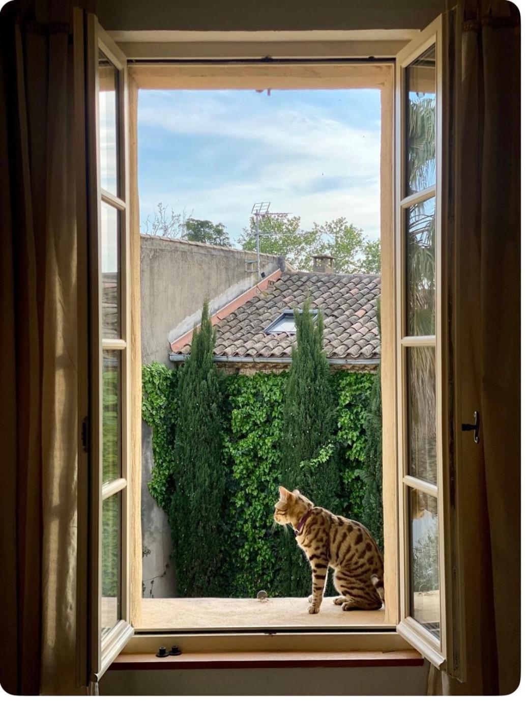 Apartmán Le Figuier Beauvoisin  Exteriér fotografie